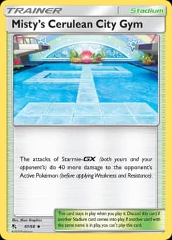 Misty's Cerulean City Gym